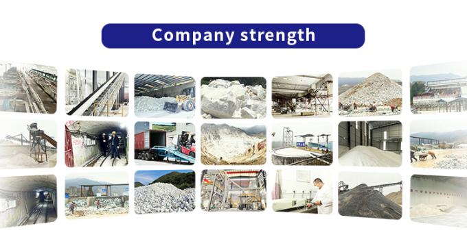 Guangdong XiMi New Material Technology Co., Ltd 会社案内