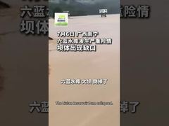 XiMi Group、広西チワン族自治区の洪水救援を支援するために緊急物資を寄付